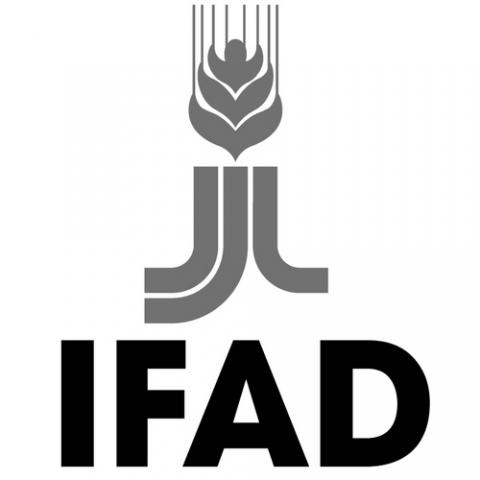 International Fund for Agricultural Development logo